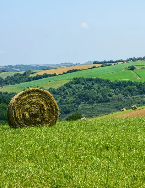 Paisagem rural em Tarn (França ) — Fotografia de Stock