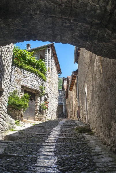 Sainte-Enimie, Gorges du Tarn — Photo