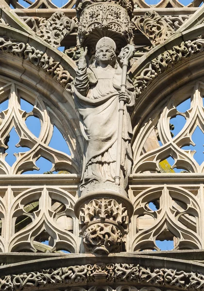 Albi (Ranska), katedraali — kuvapankkivalokuva