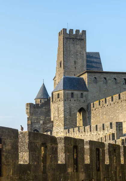 Carcassonne (Frankrijk) — Stockfoto
