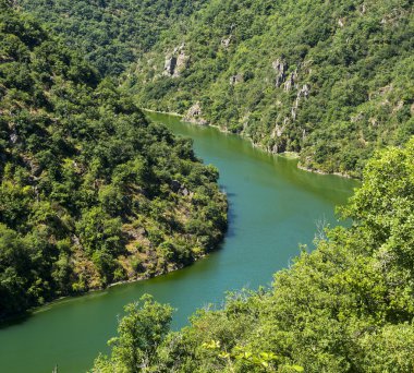 tarn (midi pyrenees Vadisi)