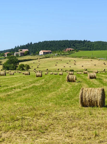 Venkovská krajina v regionu aveyron (Francie) — Stock fotografie