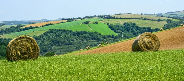 Paysage rural dans le Tarn (France) ) — Photo
