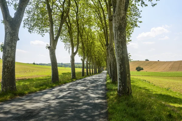 Silnice poblíž albi (Francie) — Stock fotografie