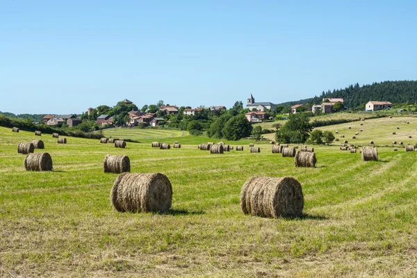 Paisaje rural en Aveyron (Francia ) — Foto de Stock