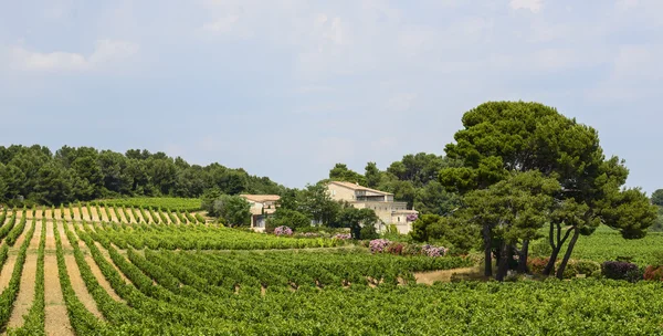 Maison de campagne près de Montpellier — Photo