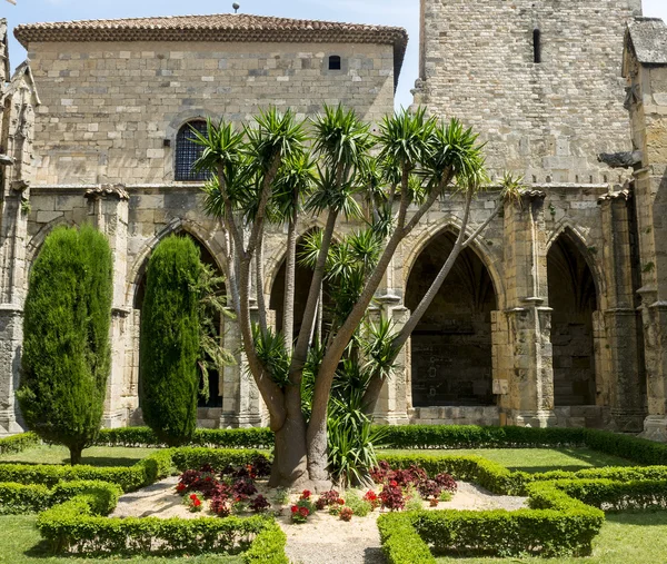 Narbonne, cathedral cloister — Stock Photo, Image