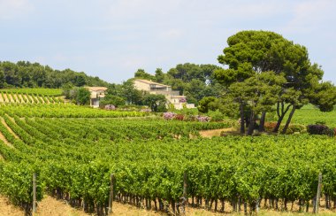 montpellier yakınındaki kır evi