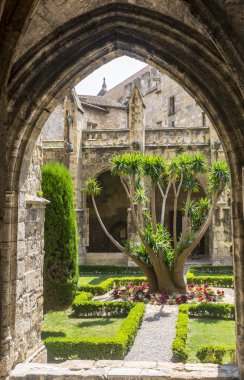 Narbonne, katedral manastır