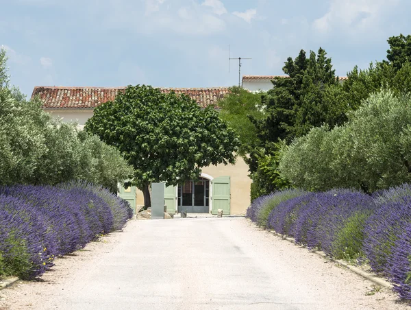 Landhaus in der Nähe von Montpellier — Stockfoto