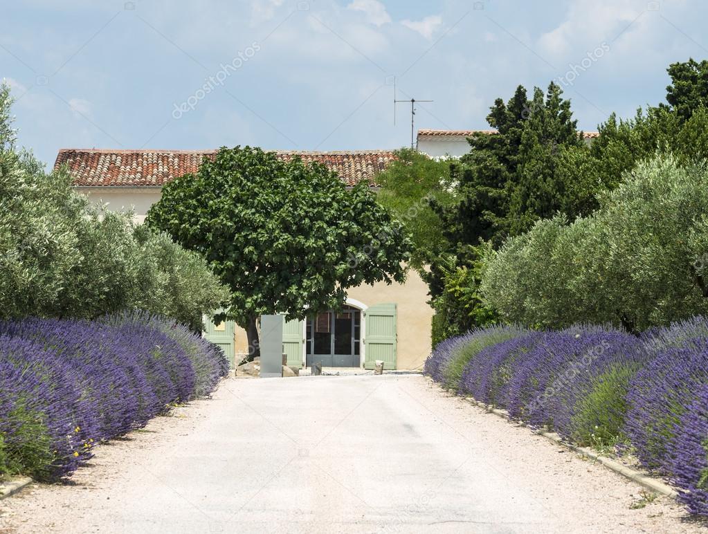 Country house near Montpellier