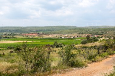 languedoc-roussillon üzüm bağları