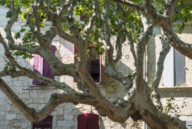 Beaucaire