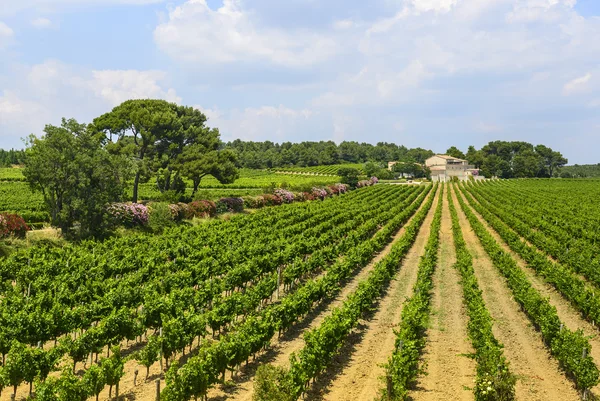 Casa di campagna vicino Montpellier — Foto Stock