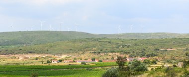 languedoc-roussillon üzüm bağları