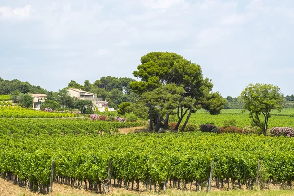 Casa de campo perto de Montpellier — Fotografia de Stock