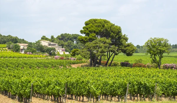 Montpellier yakınındaki kır evi — Stok fotoğraf