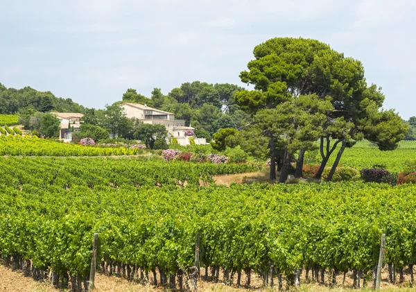 Maison de campagne près de Montpellier — Photo