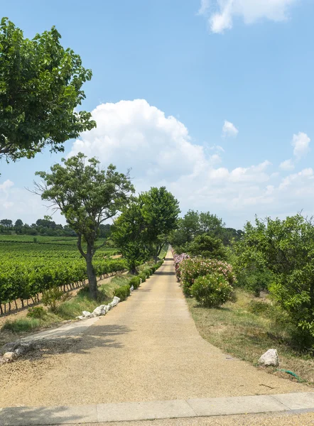 Casa di campagna vicino Montpellier — Foto Stock