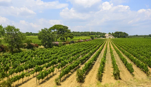 Casa de campo cerca de Montpellier — Foto de Stock