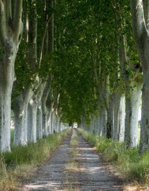 provence ülkede yol