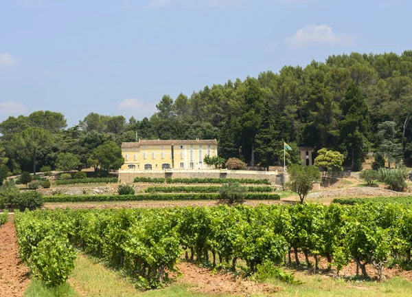 Vignobles dans le Var (Provence ) — Photo