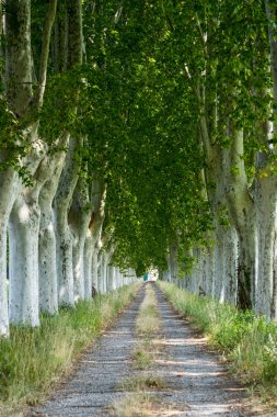 provence ülkede yol