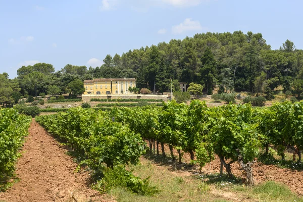 Vingårdar i var (provence) — Stockfoto