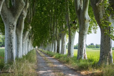 provence ülkede yol