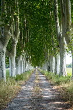 provence ülkede yol