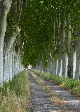 provence ülkede yol