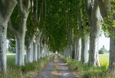 provence ülkede yol
