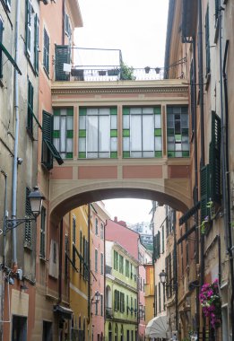 Celle Ligure