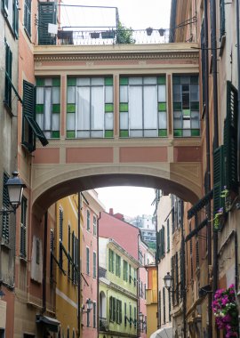 Celle Ligure