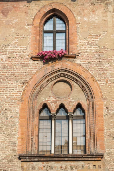 Pavia — Stockfoto