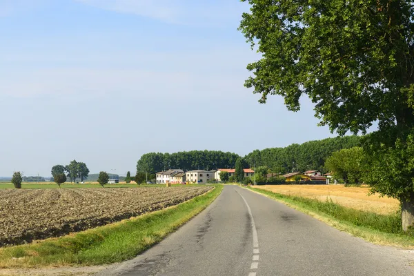 Campagne près de Pavia — Photo