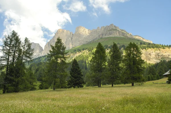 Passo di Costalunga, Dolomitas —  Fotos de Stock