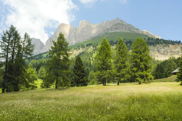 Passo di costalunga, Dolomity — Stock fotografie