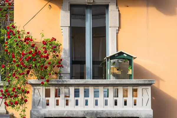 Milan, balcony with birds and roses — Stock Photo, Image