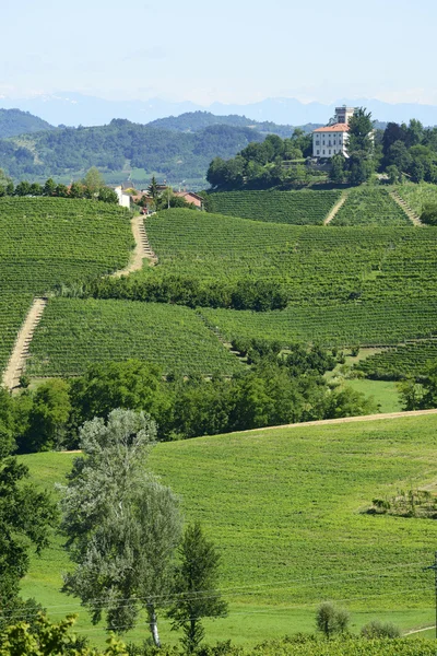 Paisagem de verão em Langhe (Itália ) — Fotografia de Stock