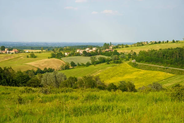 Pianello Val Tidone ve Agazzano yakınlarındaki kırsal alan, Piacenza ili, Emilia-Romagna, İtalya, bahar zamanı. Üzüm bağları