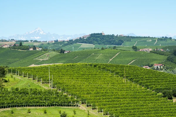 Summer landscape in Langhe (Italy) — Stock Photo, Image