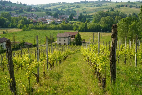 Venkovská Krajina Blízkosti Pianello Val Tidone Agazzano Provincie Piacenza Emilia — Stock fotografie