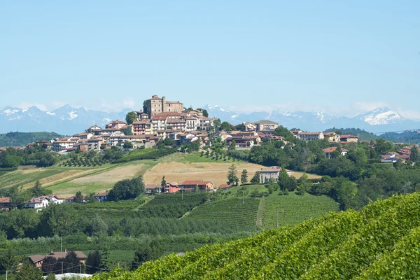 Letní krajina v langhe (Itálie) — Stock fotografie