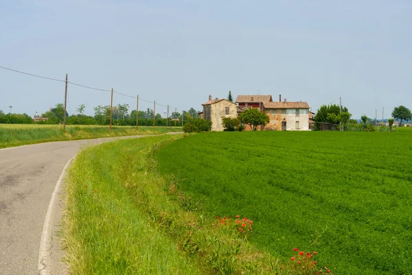 Stare Gospodarstwo Rolne Pobliżu Carpaneto Piacentino Prowincja Piacenza Emilia Romania — Zdjęcie stockowe