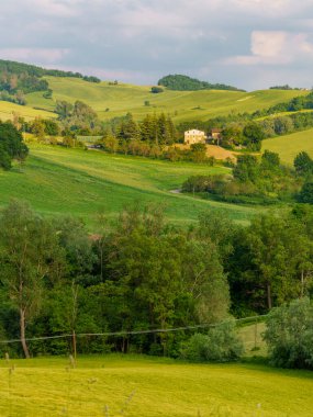 İlkbaharda Pellegrino Parmense ve Salsomaggiore yakınlarındaki kırsal alan, Parma ili, Emilia-Romagna, İtalya