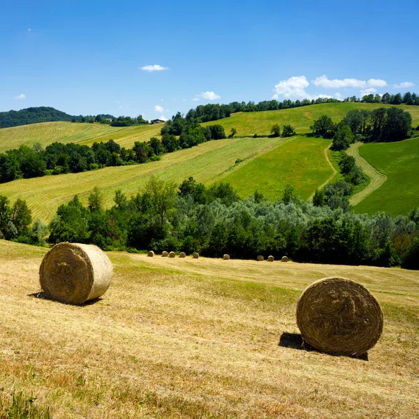 Landschap Nabij Sala Baganza Fornovo Provincie Parma Emilia Romagna Italië — Stockfoto