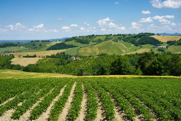 Krajobraz Wiejski Pobliżu Sala Baganza Torrechiara Prowincja Parma Emilia Romania — Zdjęcie stockowe