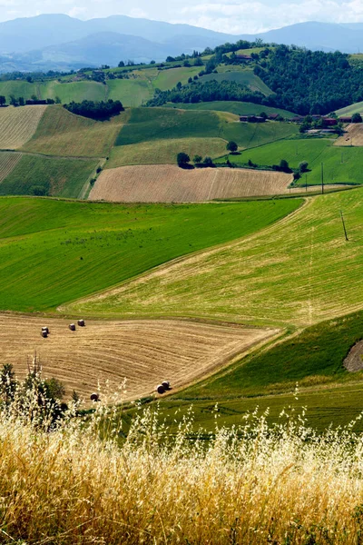 Country Landscape Salsomaggiore Fornovo Parma Province Emilia Romagna Italy Springtime — Stock Photo, Image