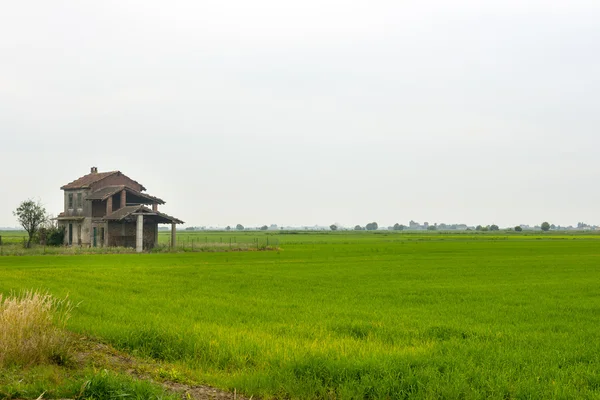 Vercelli yakınındaki kırsal — Stok fotoğraf